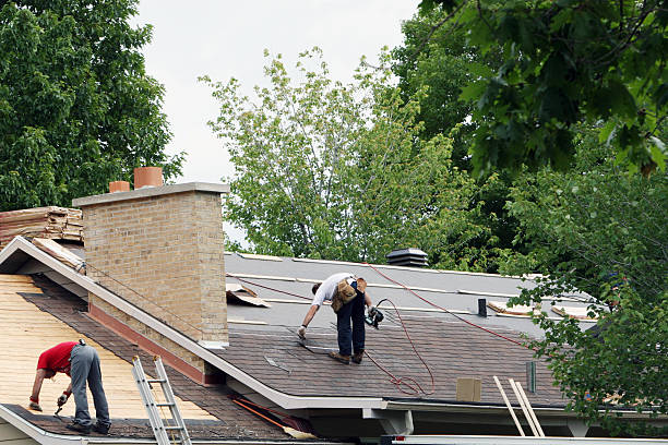 Best Roof Gutter Cleaning  in Stallion Springs, CA